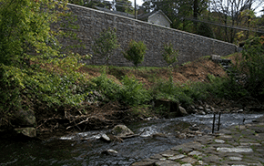 planting-hardscapes-home